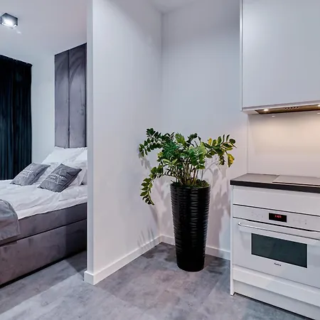 Sztuk Pieknych 10 公寓 *