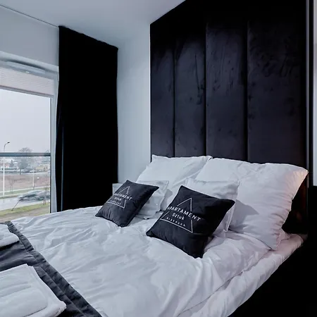 Sztuk Pieknych 10 皮拉